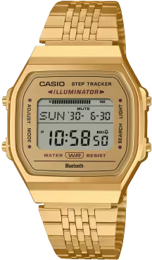 Casio Vintage