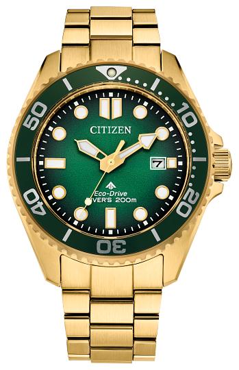 Citizen Eco-Drive Promaster Dive