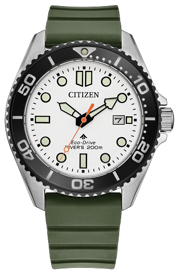 Citizen Eco-Drive Promaster Dive
