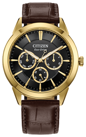 Citizen Men s WATCH IT Canada