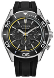 Citizen Eco-Drive Endeavor Chrono