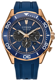 Citizen Eco-Drive Endeavor Chrono