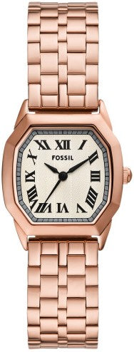 Fossil Harlow
