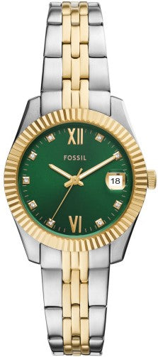 Fossil Scarlette