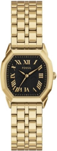 Fossil Harlow