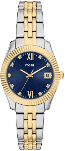 Fossil Scarlette