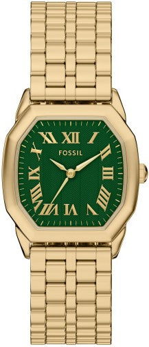 Fossil Harlow