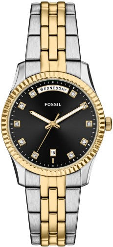 Fossil Scarlette