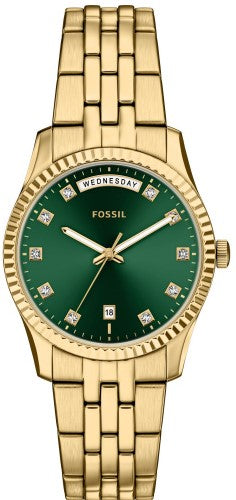 Fossil Scarlette