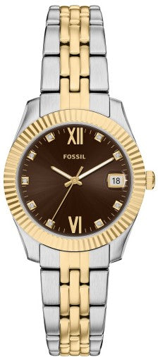 Fossil Scarlette