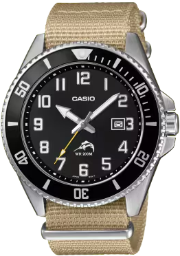 Casio