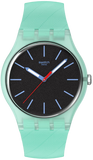 Swatch Hint of Mint