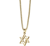 Italgem Steel Hollow Star David Necklace