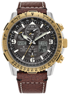 WATCH IT! Citizen Eco-Drive Promaster Air | JY8084-09H
